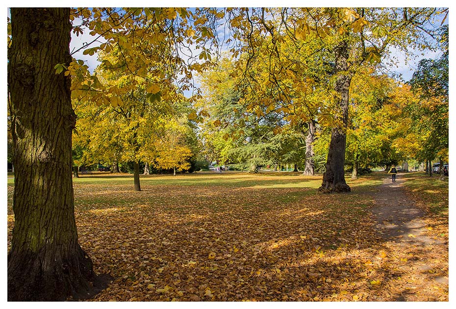 Stunning colours of Autumn at Pittville Park, Cheltenhm, Gloucestershire, England